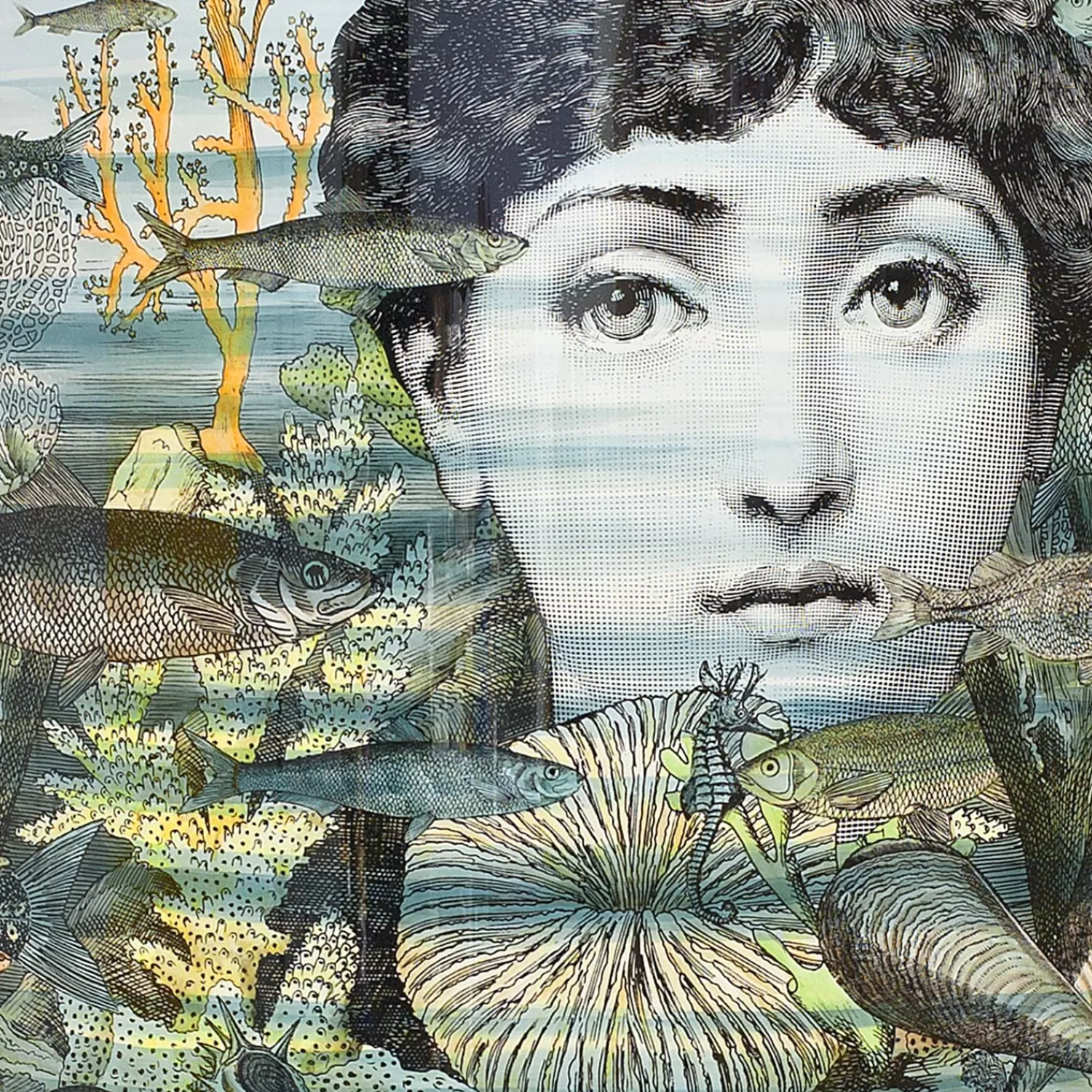 Storage Consoles<Fornasetti Console Sirena Multicolour