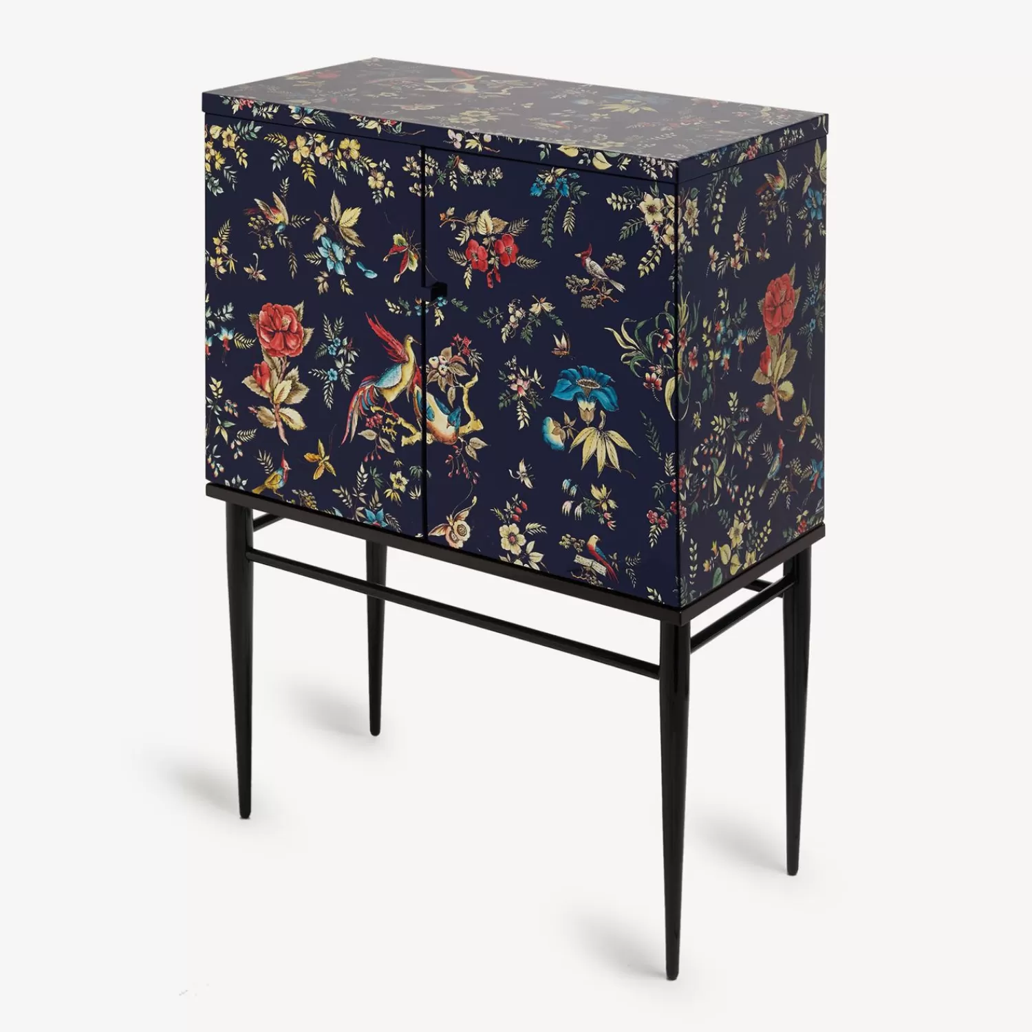 Cabinets<Fornasetti Raised Cabinet Coromandel Multicolour