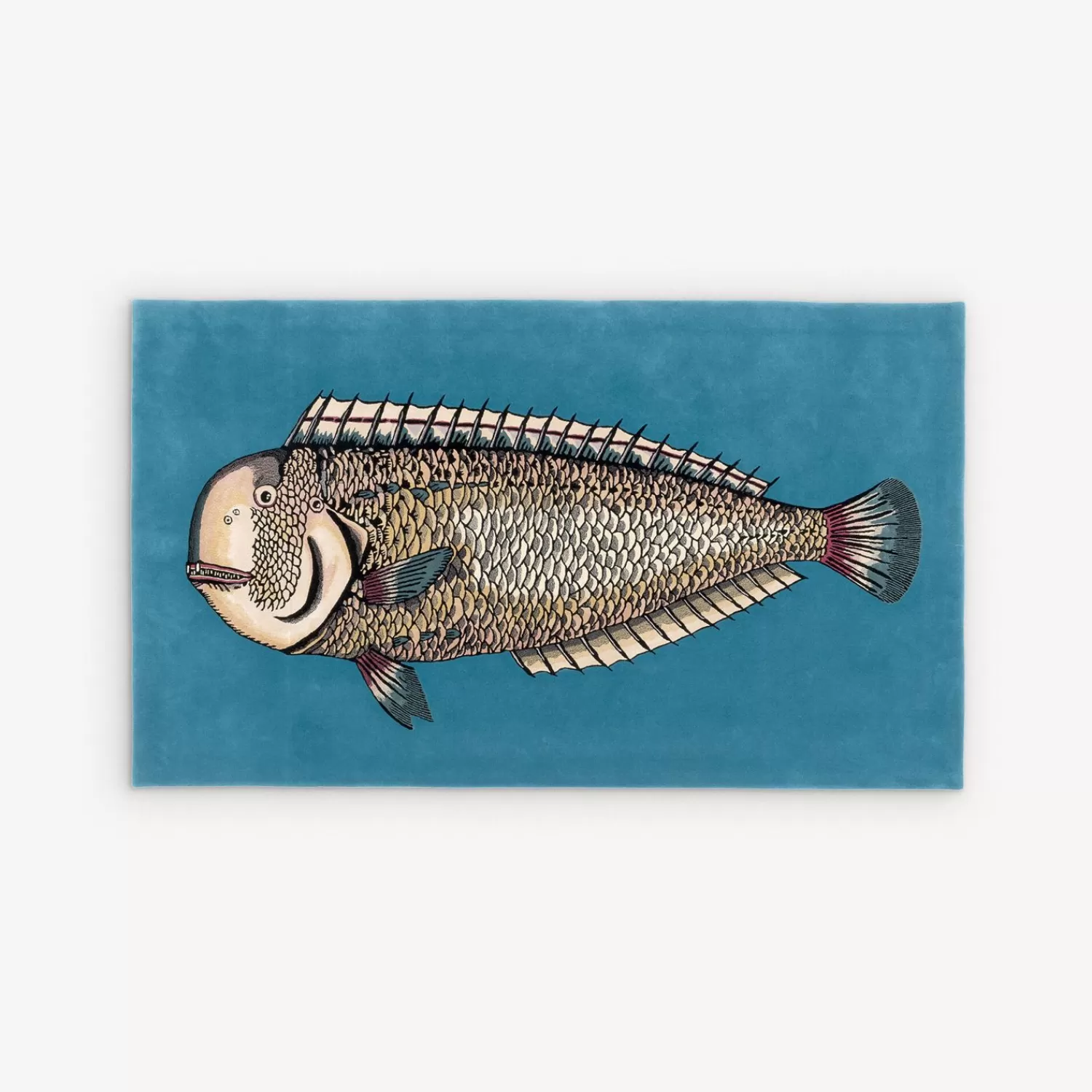 Design Rugs<Fornasetti Rug Lampuga Multicolour