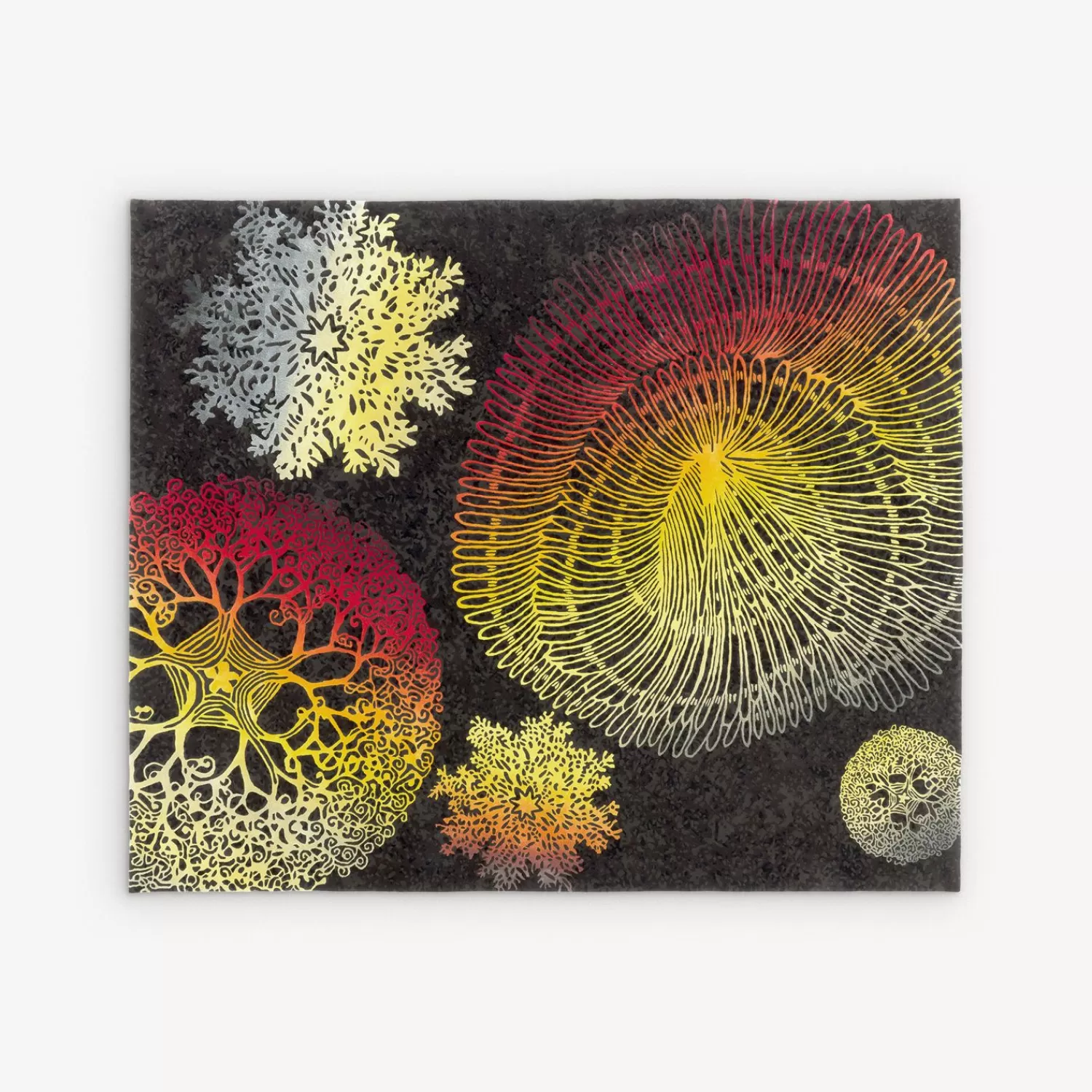 Design Rugs<Fornasetti Rug Madrepore Multicolour