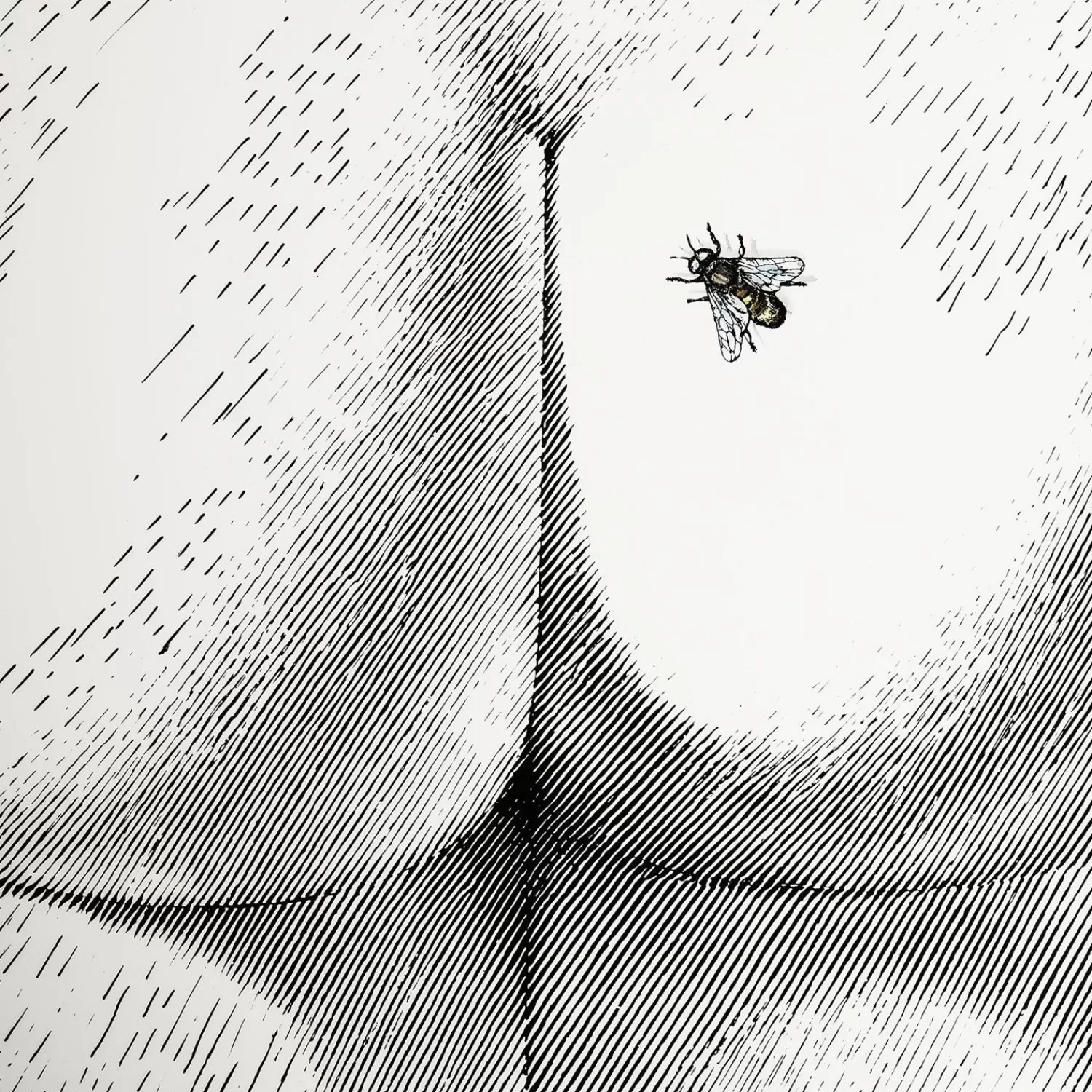Stools<Fornasetti Stool Bee On My Back Colour White/Black
