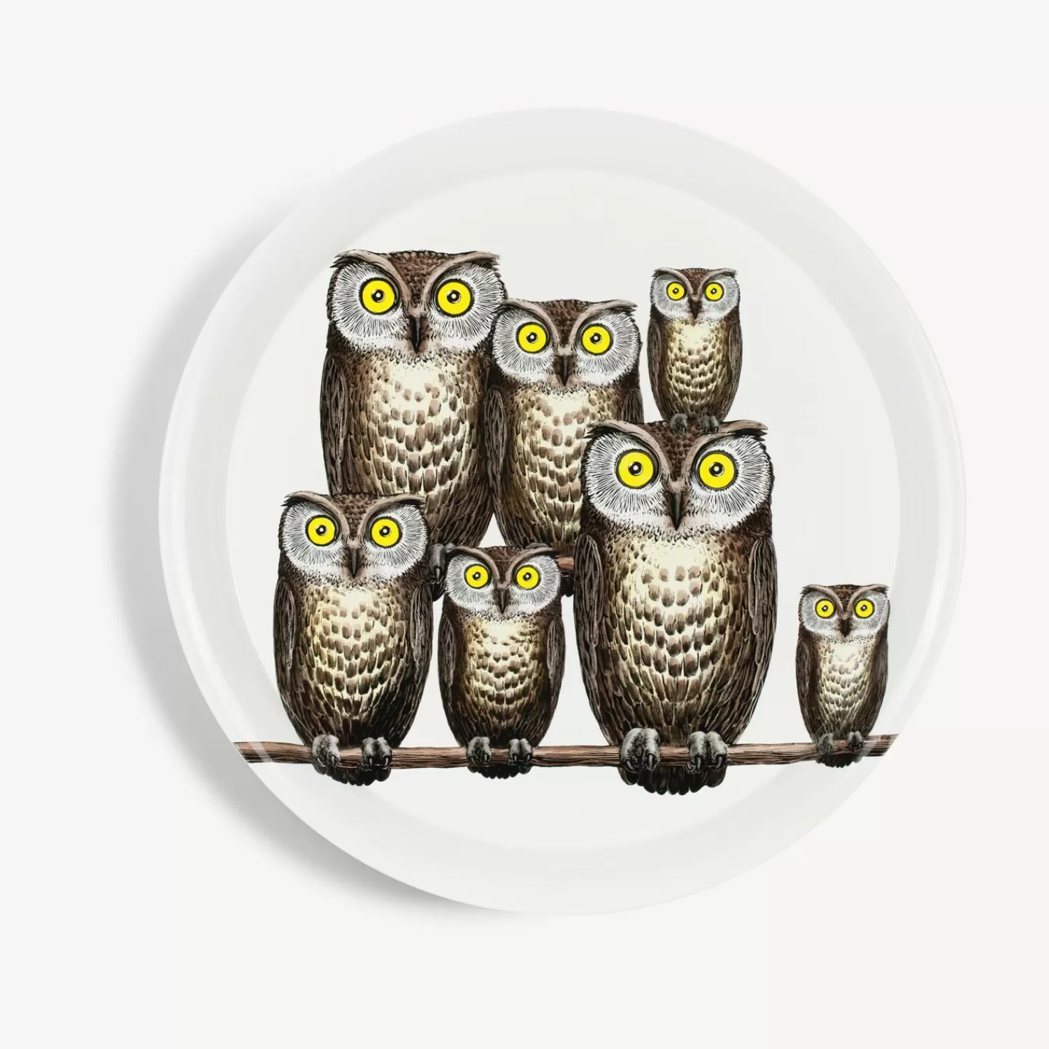 Decorative Trays And Pliants<Fornasetti Tray Civette Multicolour
