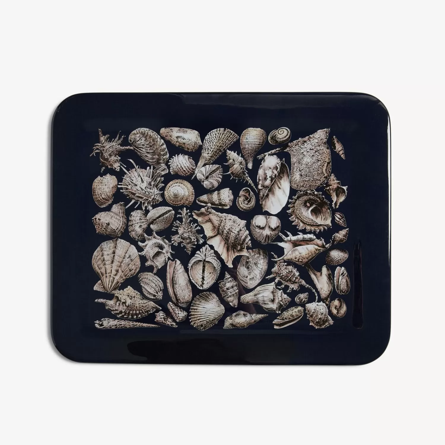 Decorative Trays And Pliants<Fornasetti Tray Conchiglie White/Black/Blue