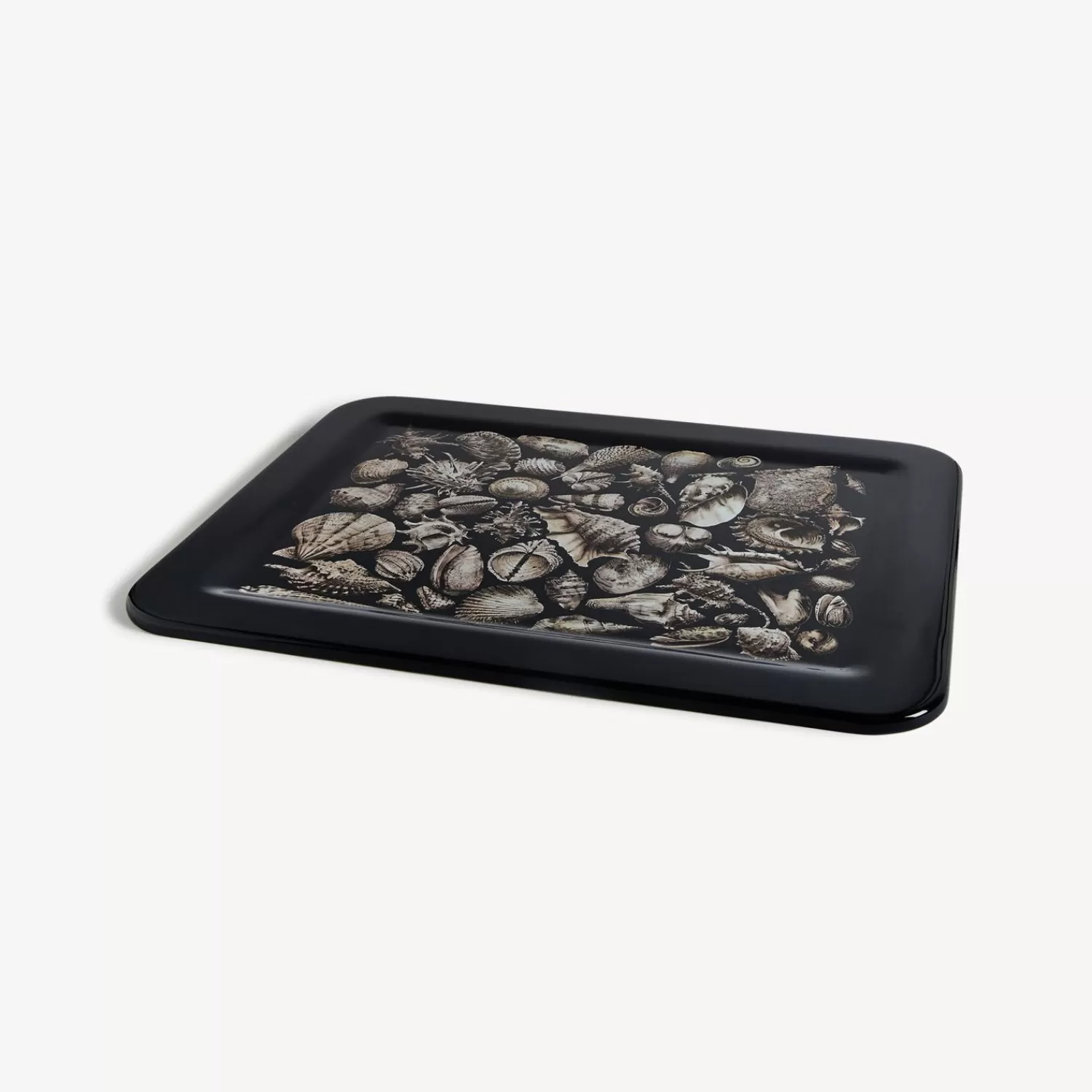 Decorative Trays And Pliants<Fornasetti Tray Conchiglie White/Black/Blue