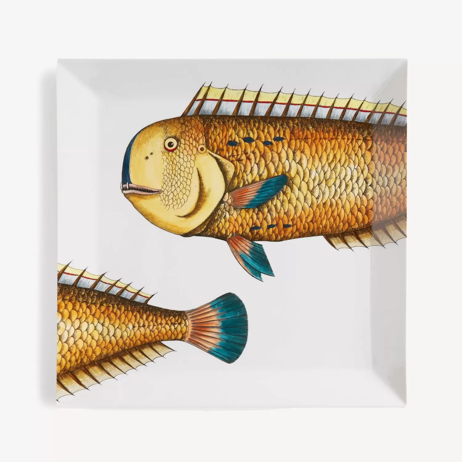 Decorative Trays<Fornasetti Tray Pesce Lampuga Multicolour