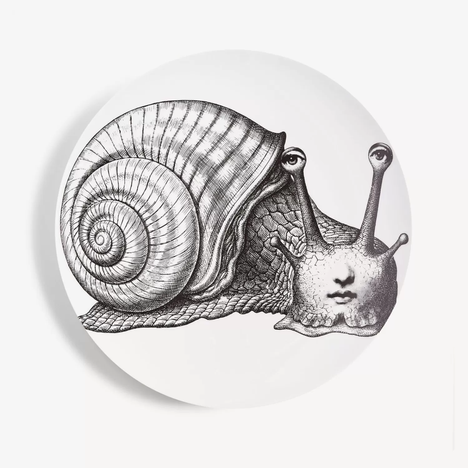 Animals<Fornasetti Wall Plate Tema E Variazioni N.260 White/Black