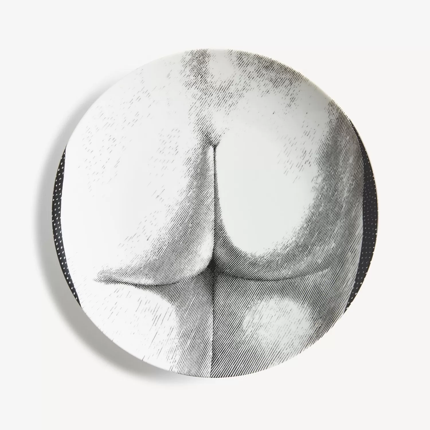 Anatomical Drawings<Fornasetti Wall Plate Tema E Variazioni N.306 White/Black