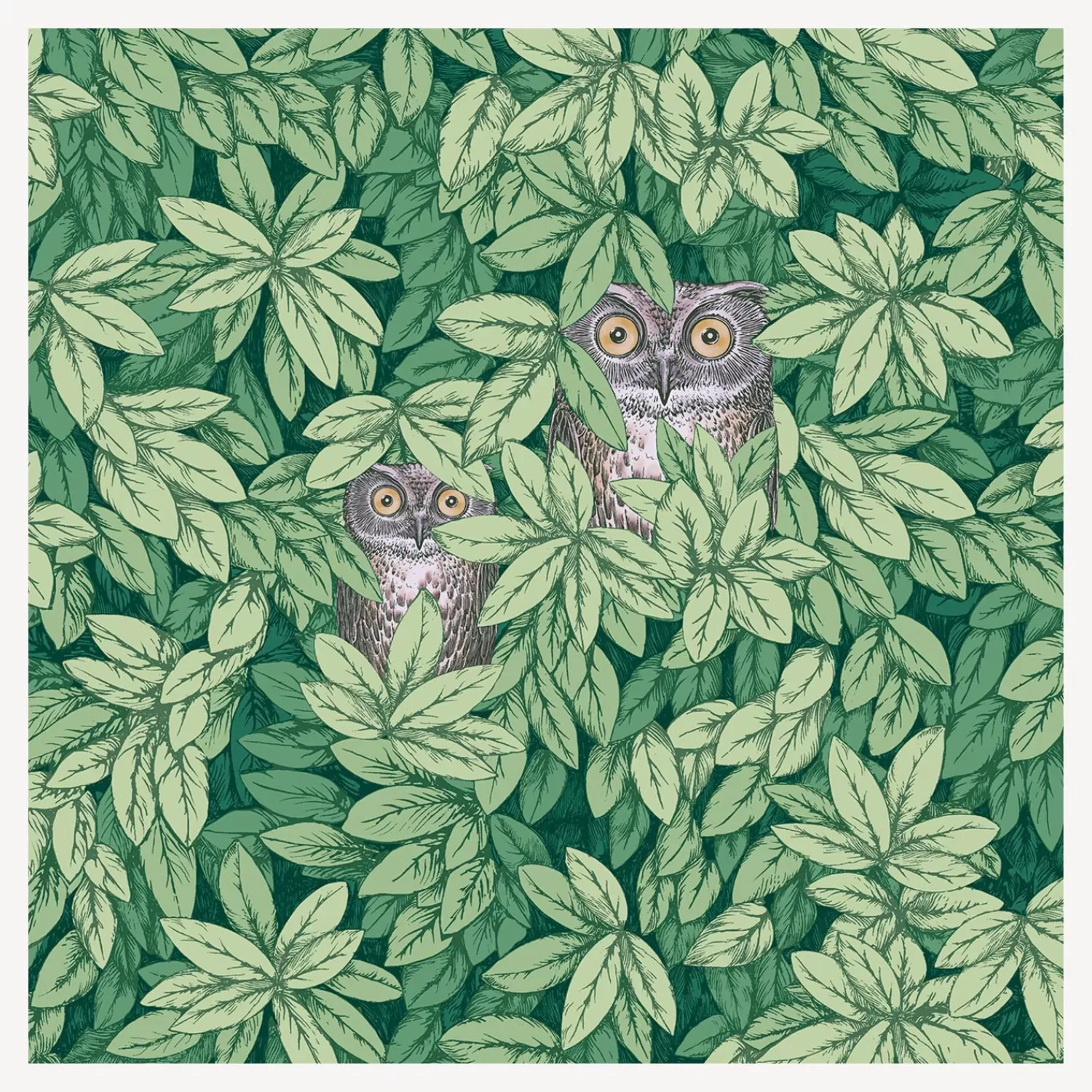 Wallpaper<Fornasetti Wallpaper Foglie E Civette Forest Green