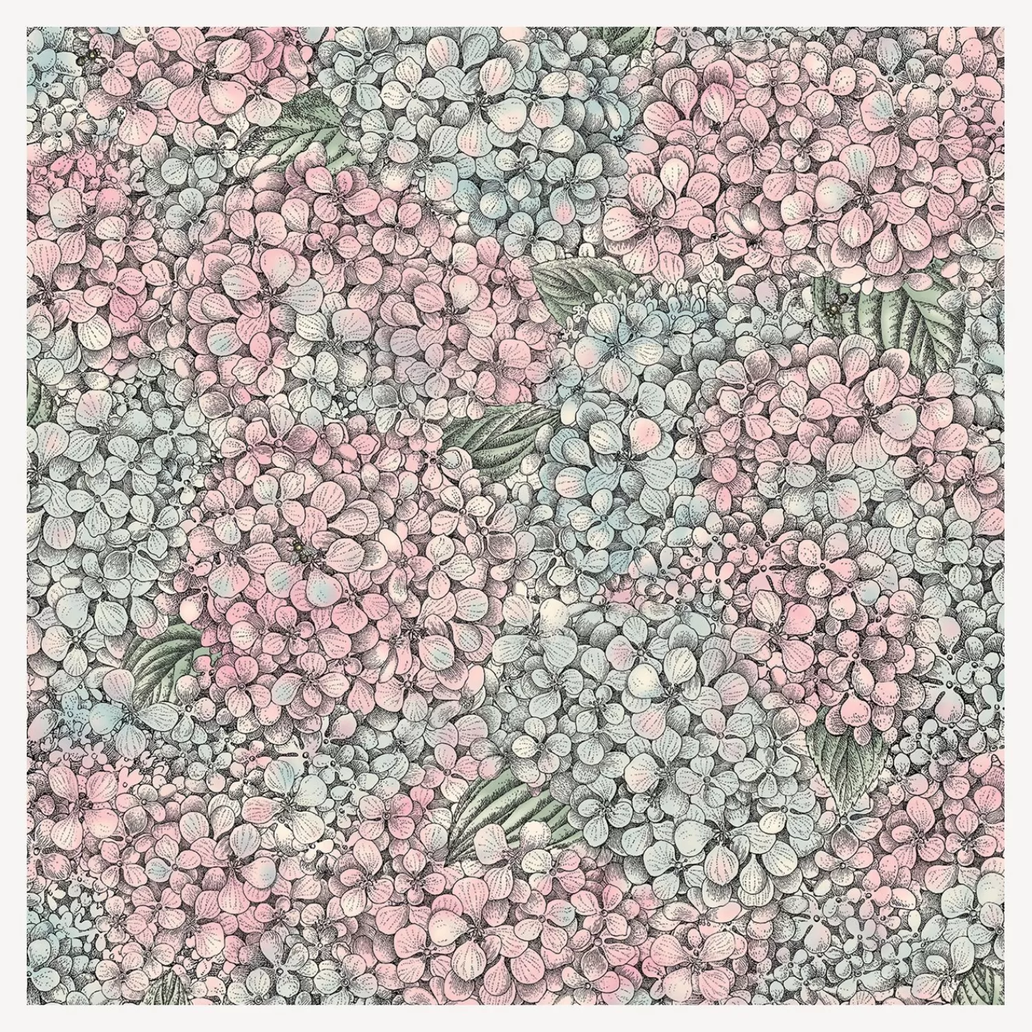 Wallpaper<Fornasetti Wallpaper Ortensia Pink And Blue