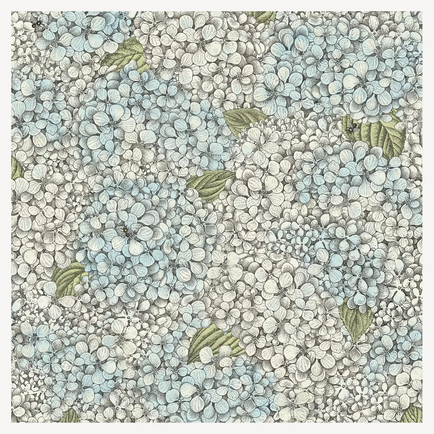 Wallpaper<Fornasetti Wallpaper Ortensia Blue And Cream