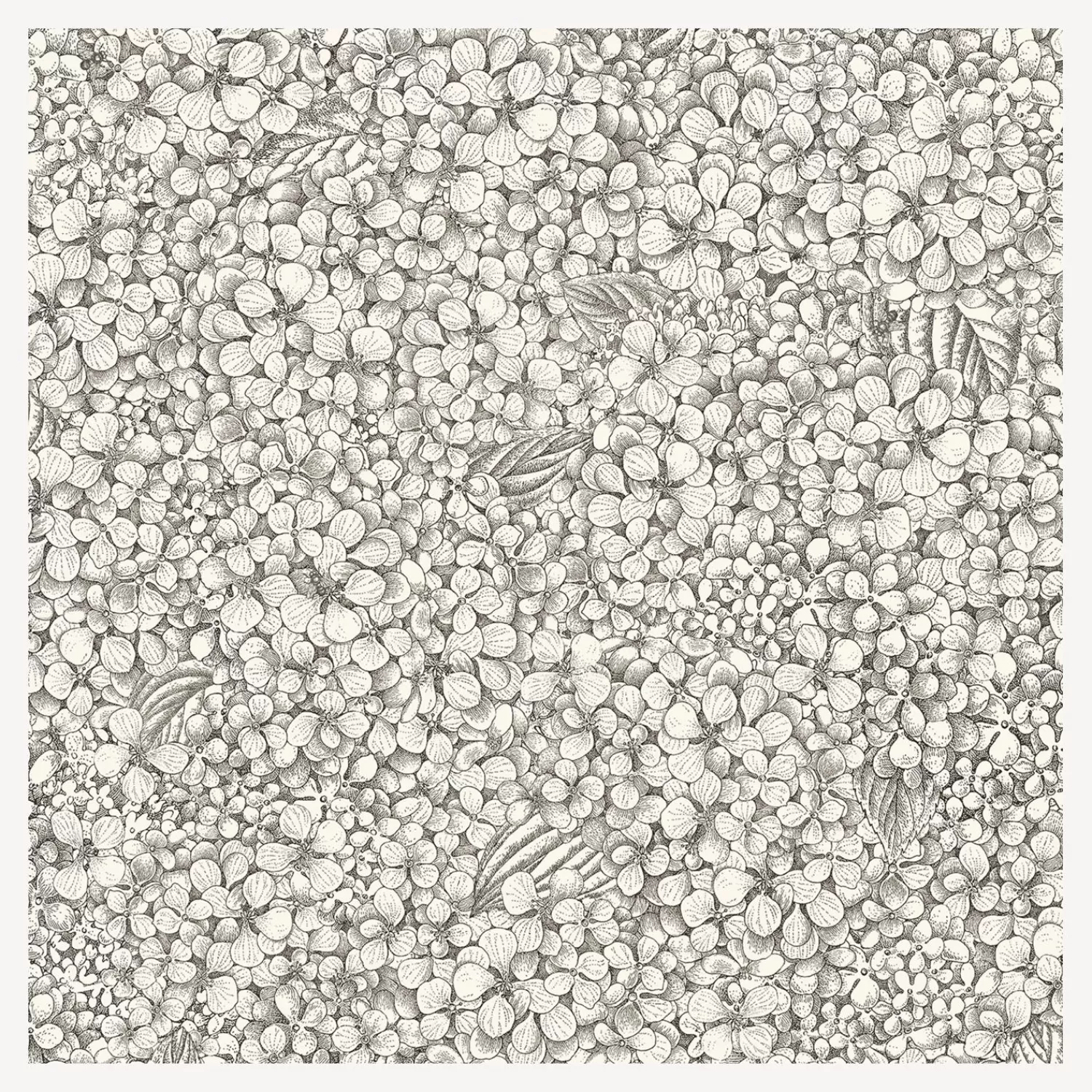 Wallpaper<Fornasetti Wallpaper Ortensia Black And White