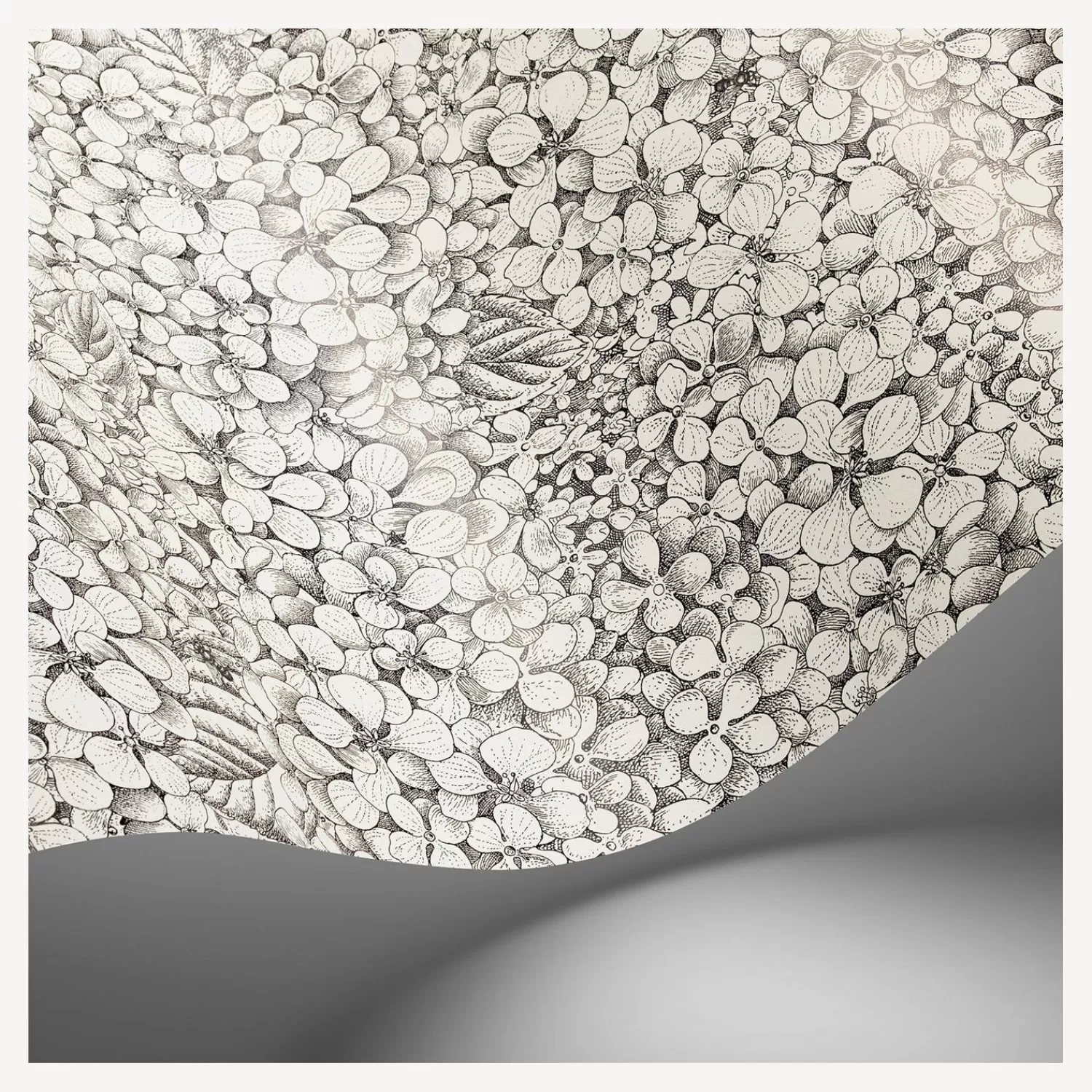 Wallpaper<Fornasetti Wallpaper Ortensia Black And White