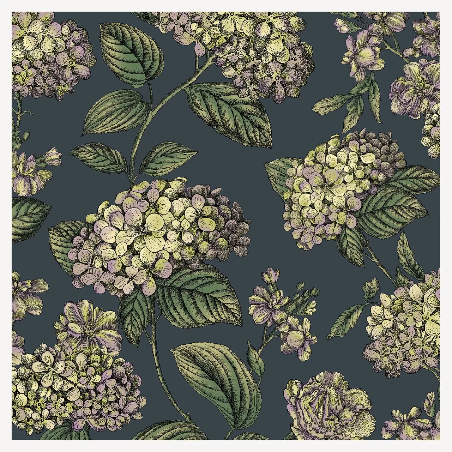 Wallpaper<Fornasetti Wallpaper Ramo Di Ortensia Lime And Purple On Ink
